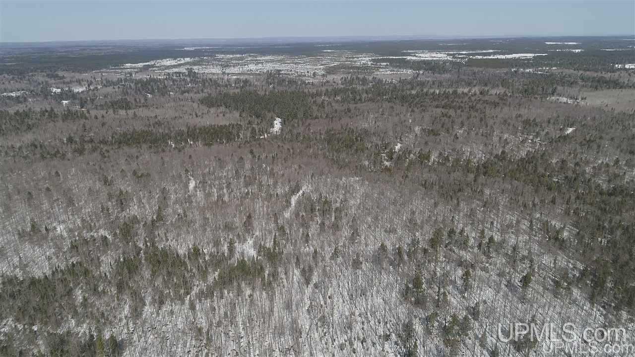 240-acres Leek Road Covington, MI 49919 - Photo 45 of 50