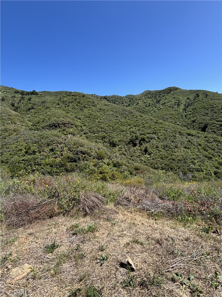 12110 Yellow Hill Road Malibu, CA 90265 - Photo 7 of 9