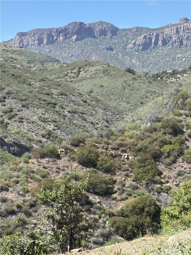 12110 Yellow Hill Road Malibu, CA 90265 - Photo 8 of 9