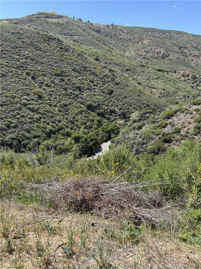 12110 Yellow Hill Road Malibu, CA 90265 - Photo 9 of 9