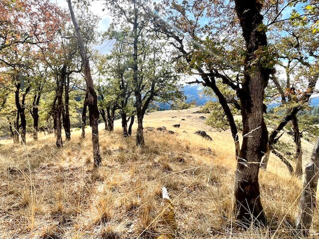 40 Burr Valley Road Bridgeville, CA 95526 - Photo 7 of 7