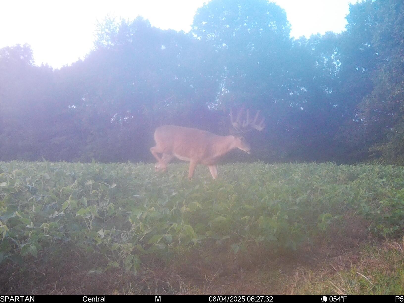 0 Stoneburner Road Northwest Crooksville, OH 43731 - Photo 19 of 26 image9
