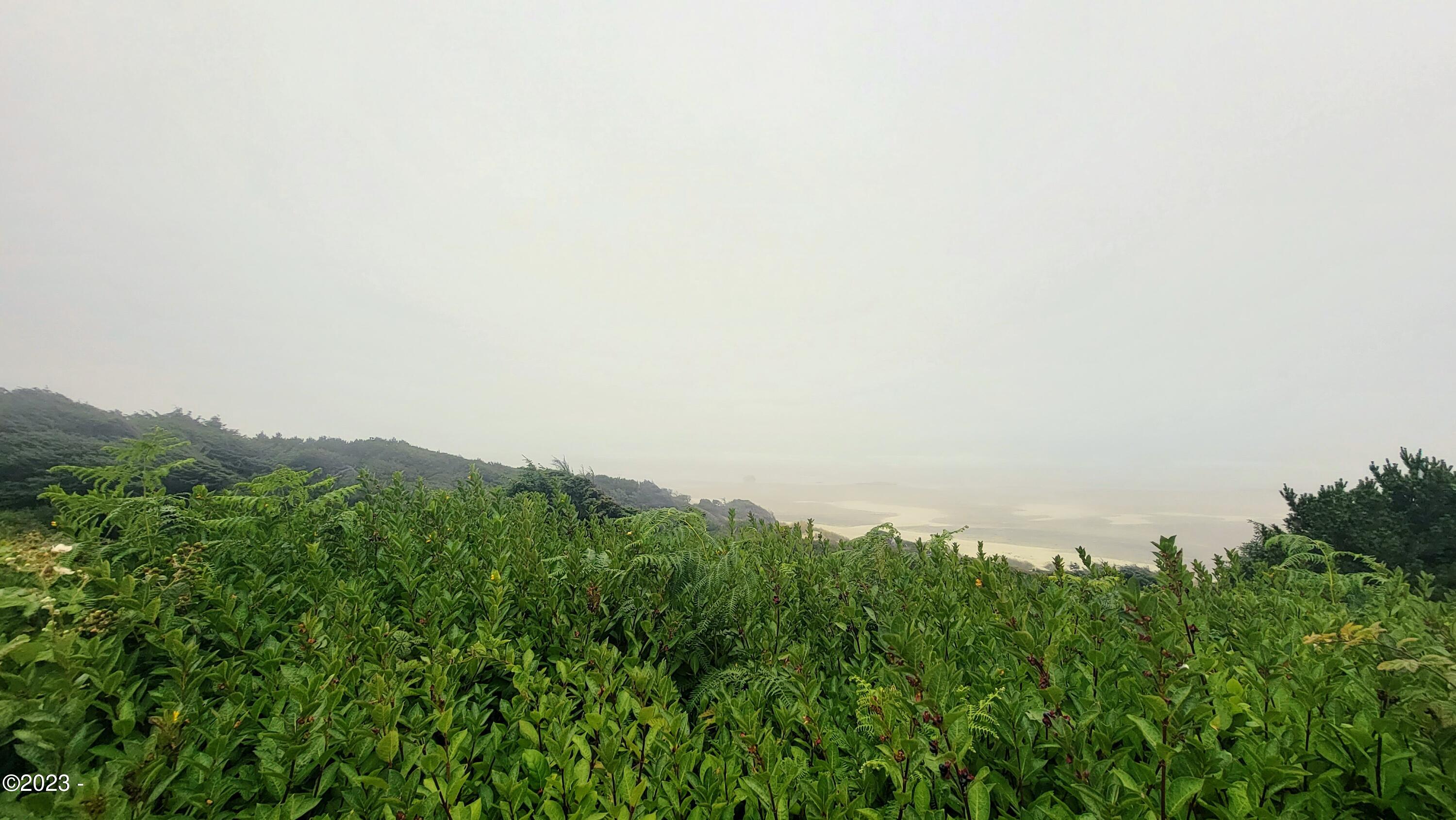 R118359 Northwest Spring Street Newport, OR 97365 - Photo 13 of 40 Oceanfront Lots
