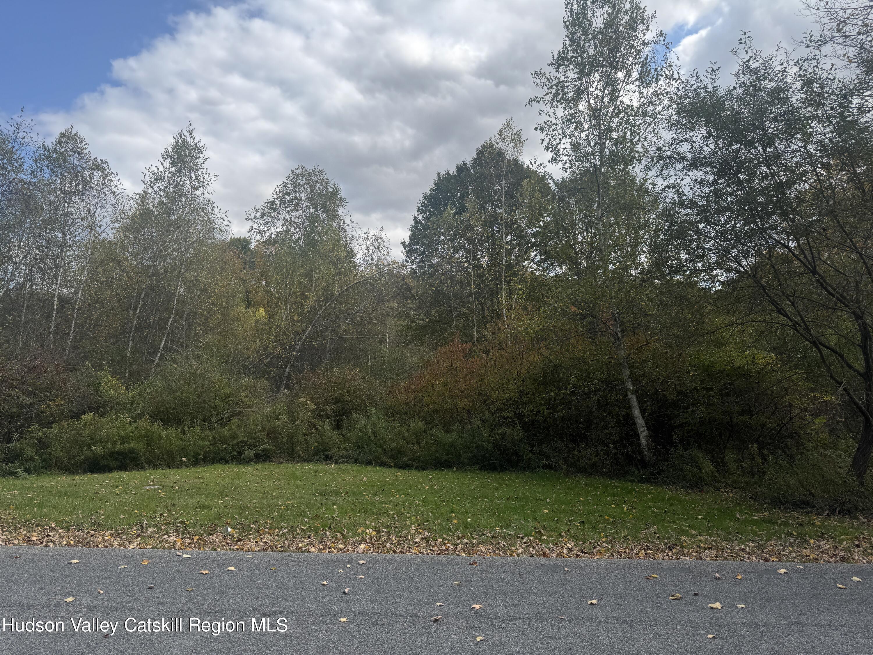0 Wade Road Liberty, NY 12754 - Photo 3 of 4 image_123650291