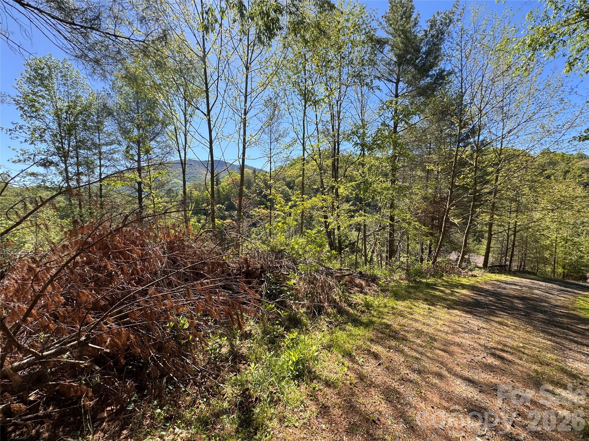 0 River Rock Road Warrensville, NC 28693 - Photo 13 of 15