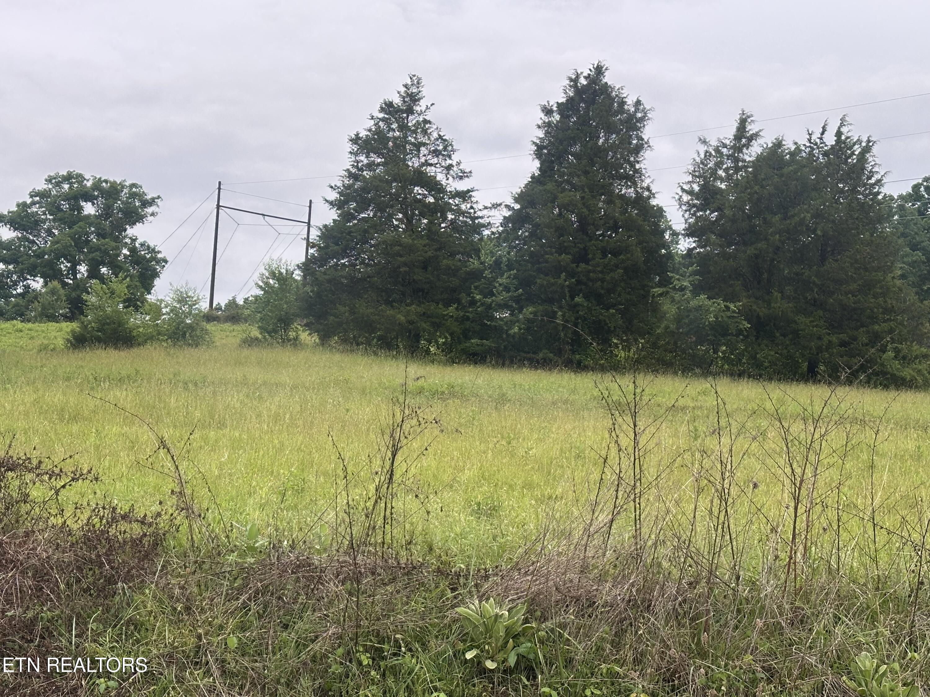 Blackwater Road Sneedville, TN 37869 - Photo 1 of 5 IMG_3348