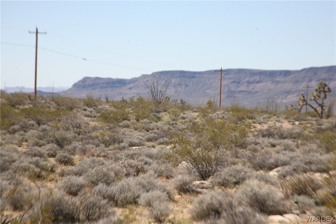 208-24-134 Cameron Road Yucca, AZ 86438 - Photo 65 of 86