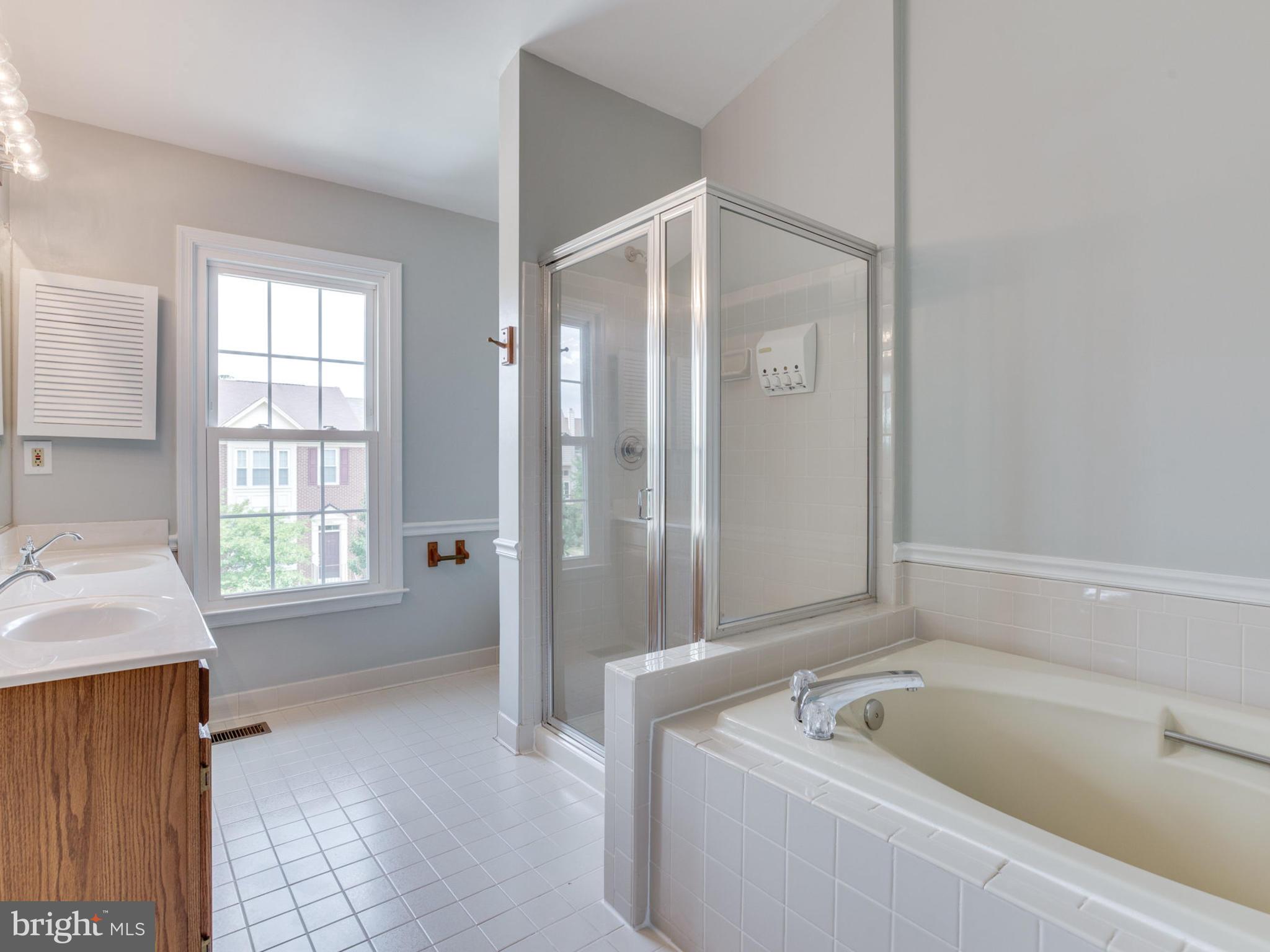 46928 Rabbitrun Terrace Sterling, VA 20164 - Photo 23 of 30 Bath (Master)