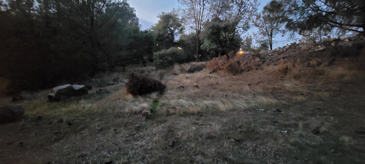 3320 Sudbury Road Cameron Park, CA 95682 - Photo 13 of 18 a view of a forest