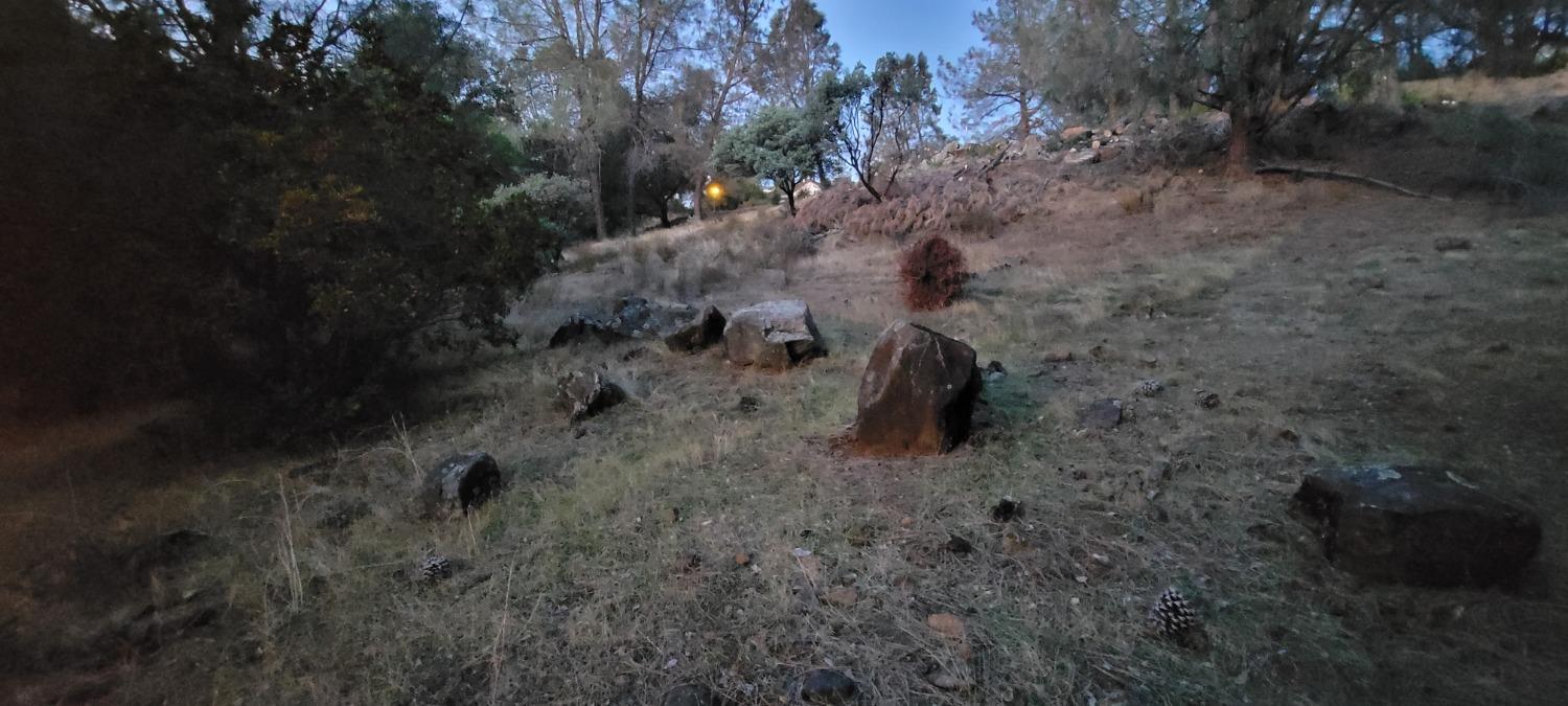3320 Sudbury Road Cameron Park, CA 95682 - Photo 14 of 18 a view of a dry yard with trees