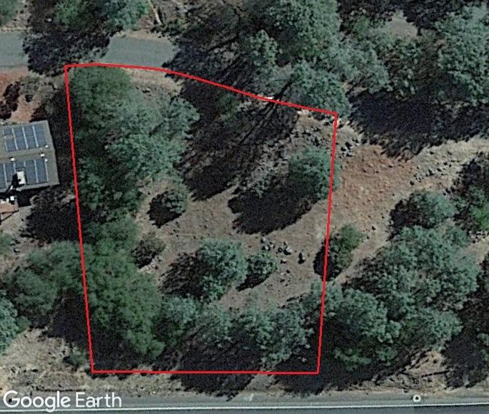 3320 Sudbury Road Cameron Park, CA 95682 - Photo 16 of 18 a view of a yard with lots of flower plants