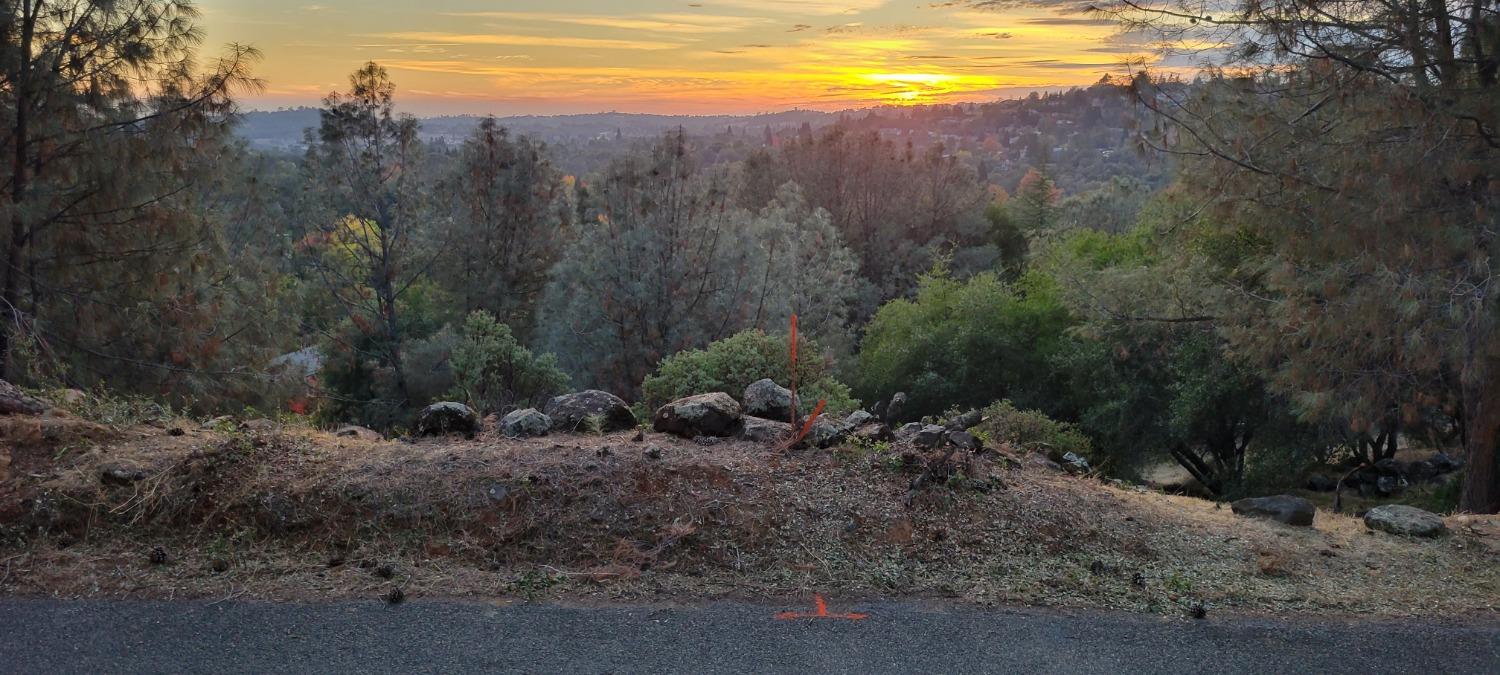 3320 Sudbury Road Cameron Park, CA 95682 - Photo 3 of 18 a view of mountain and tree