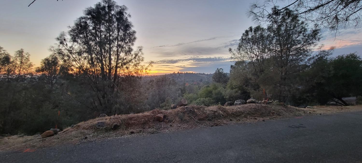 3320 Sudbury Road Cameron Park, CA 95682 - Photo 5 of 18 a view of a road with a yard
