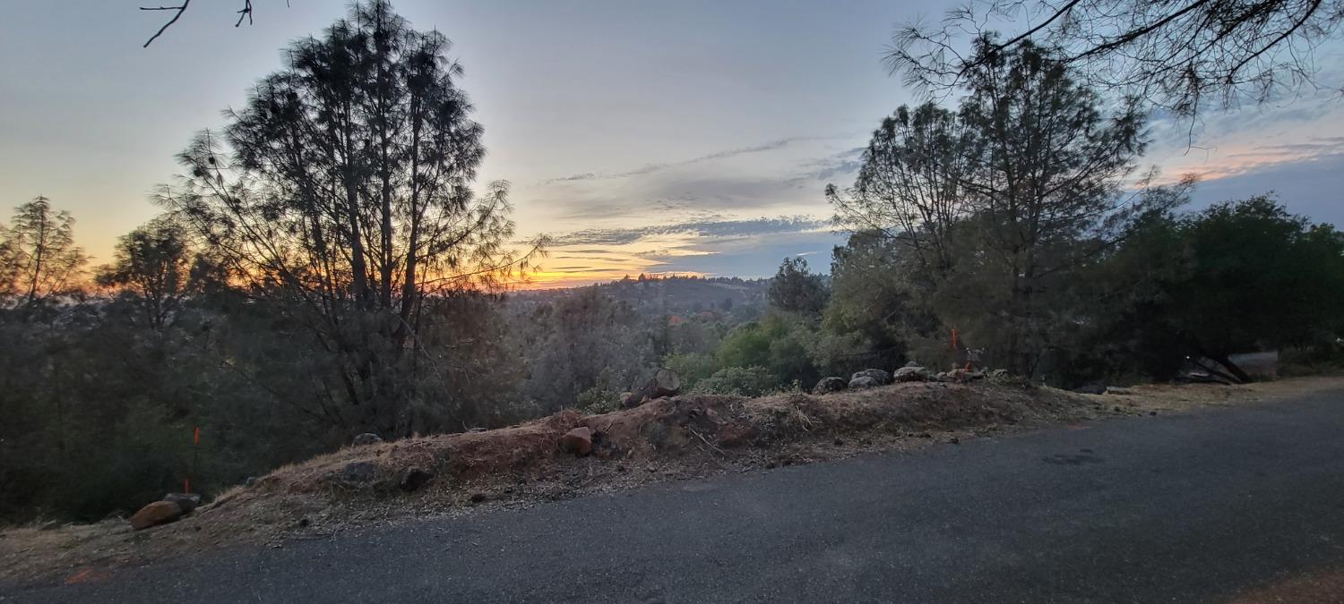 3320 Sudbury Road Cameron Park, CA 95682 - Photo 6 of 18 a view of a road with a yard