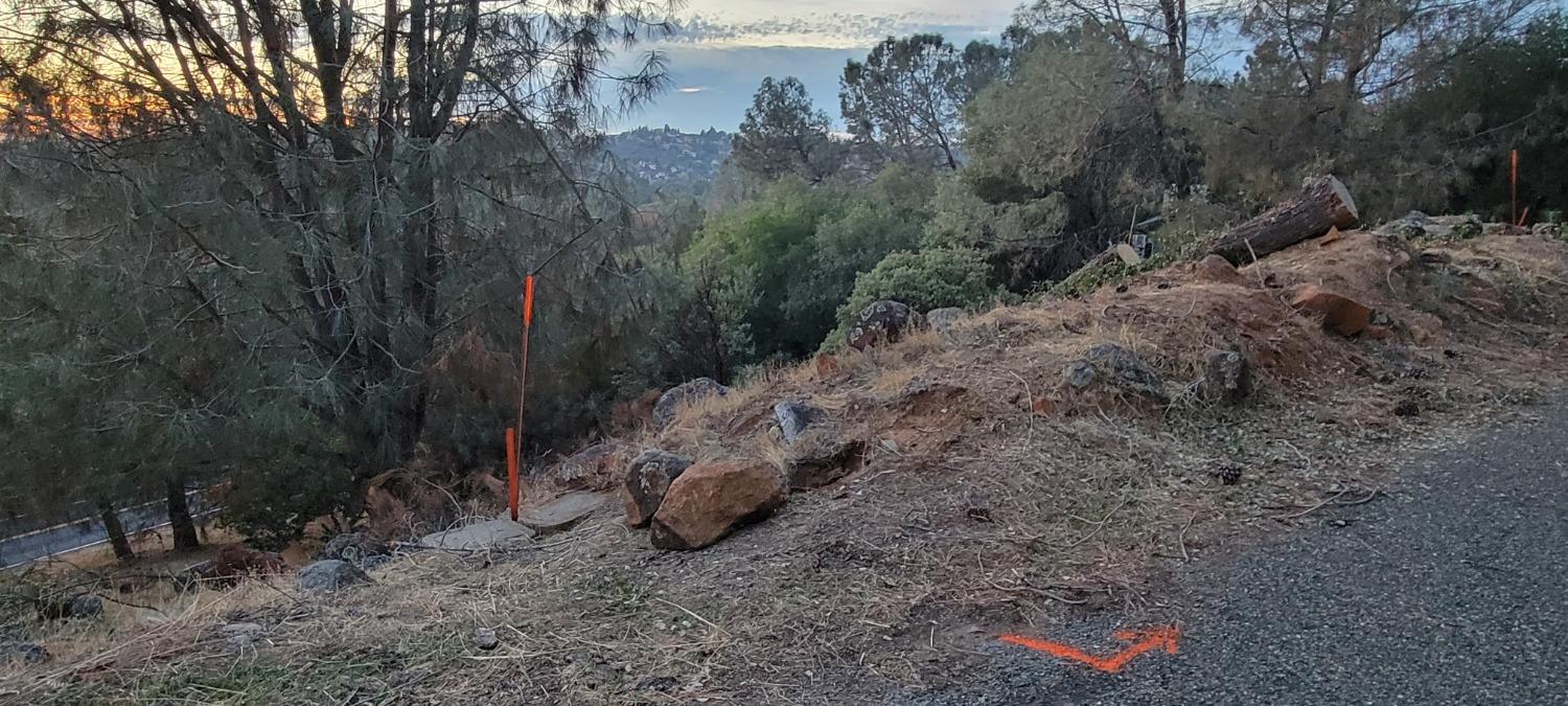 3320 Sudbury Road Cameron Park, CA 95682 - Photo 7 of 18 a view of a dry yard with trees