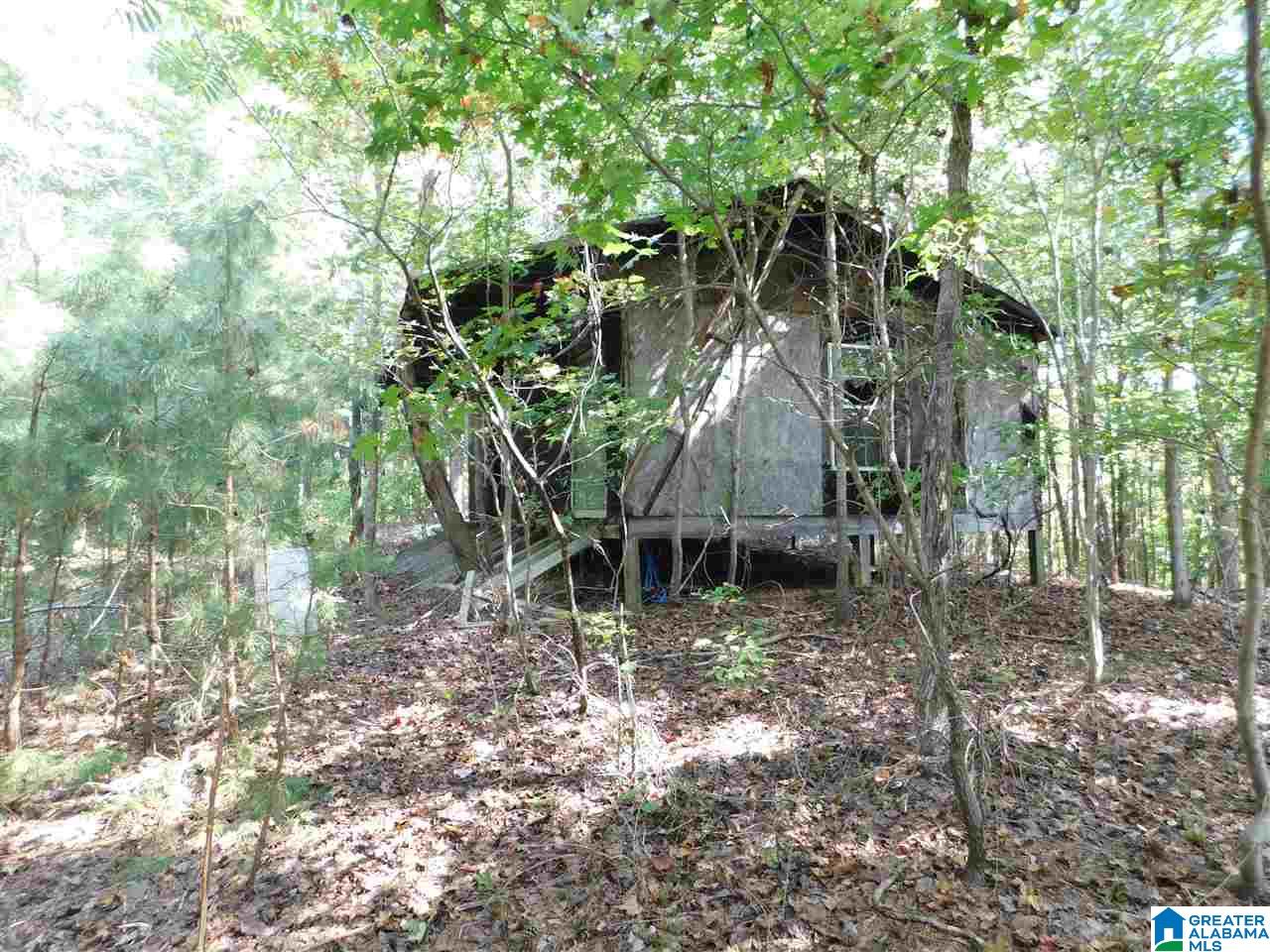 1005 Sims Road Oneonta, AL 35121 - Photo 9 of 9