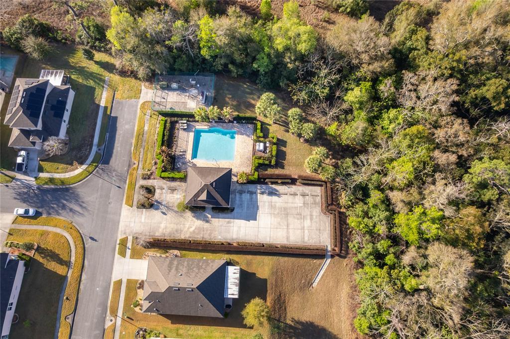 3102 Bethpage Loop Mount Dora, FL 32757 - Photo 29 of 29 a picture of a outdoor space