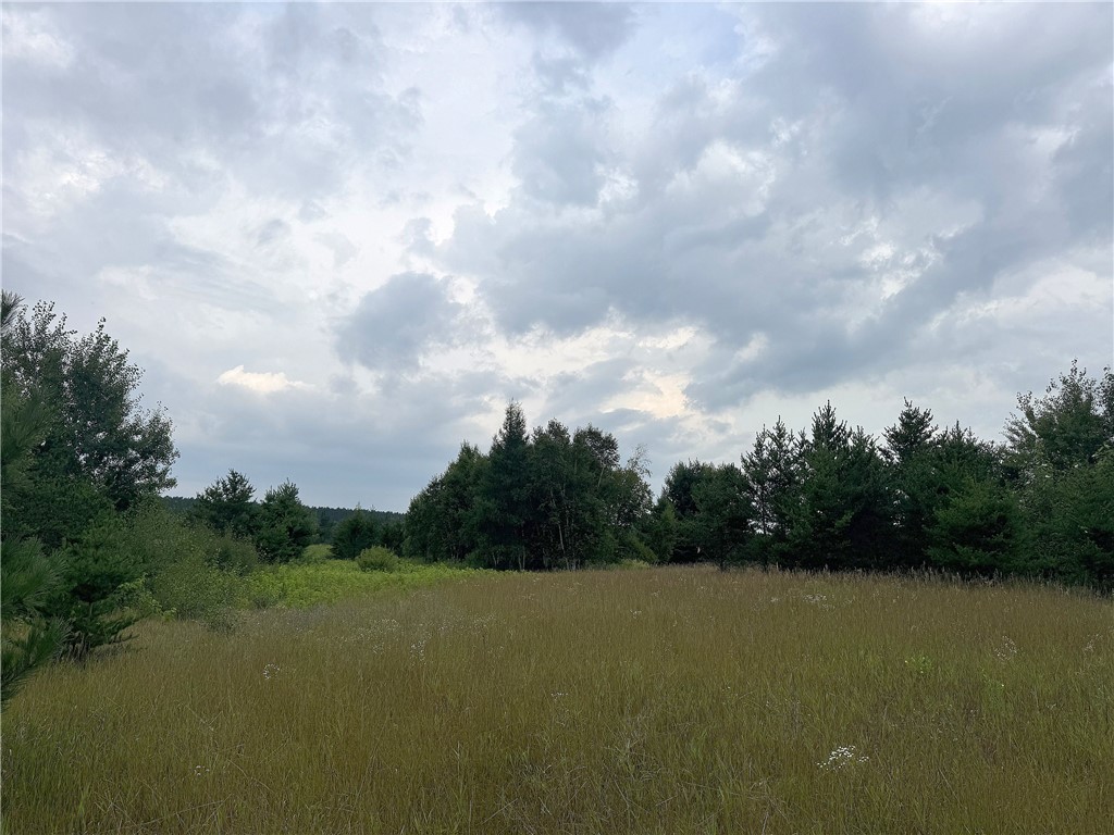 Lot 4-6580 West Barrett Road Trego, WI 54888 - Photo 1 of 1 Gallery Image 1