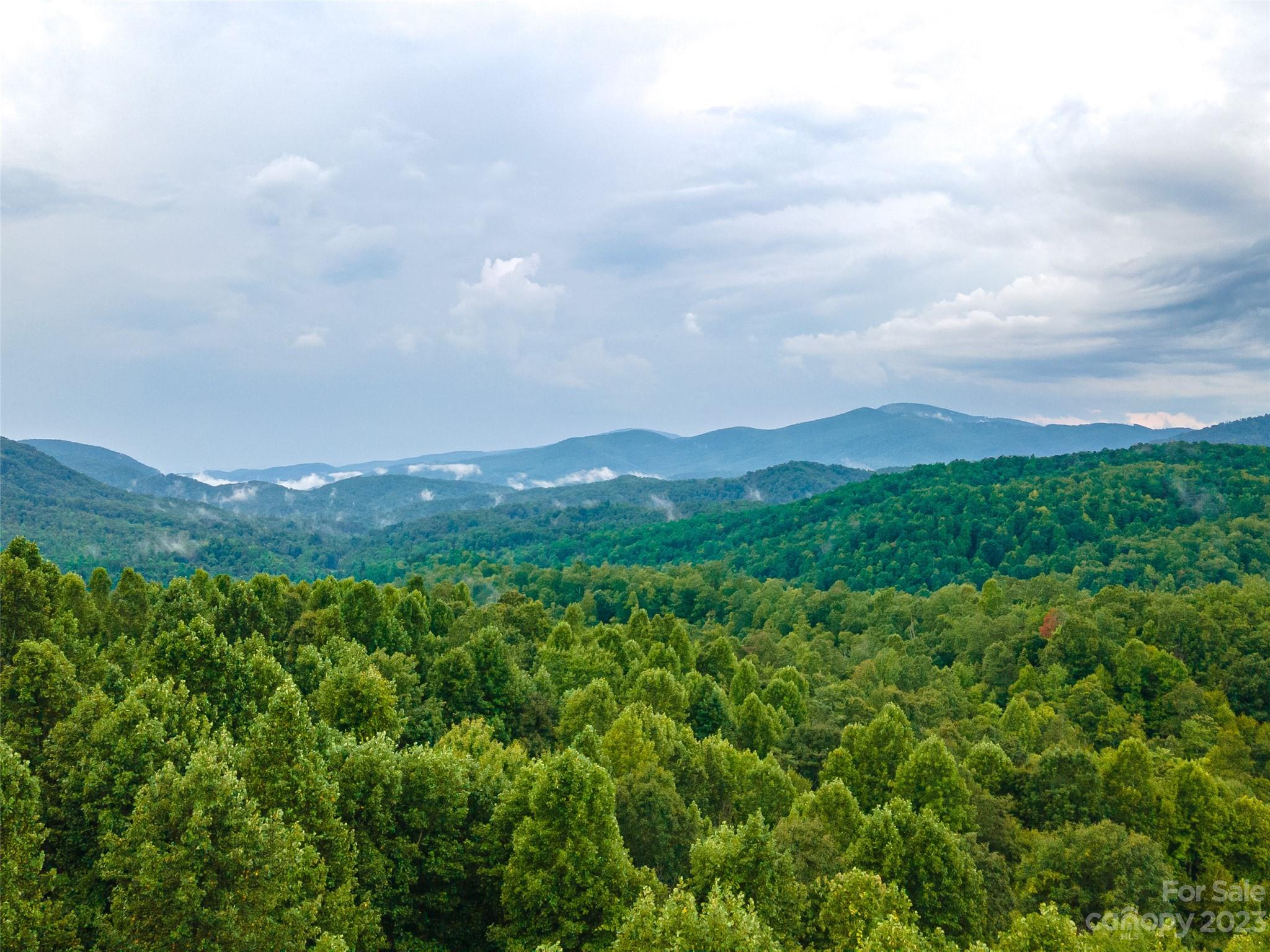99999 Old Fort Road Old Fort, NC 28762 - Photo 2 of 16 a view of a lush green forest with mountains in the background