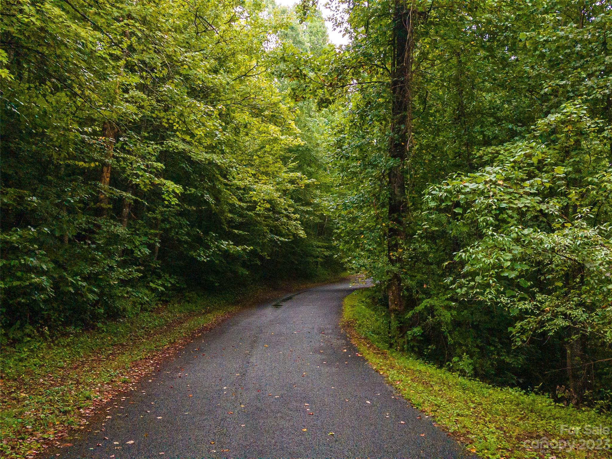 99999 Old Fort Road Old Fort, NC 28762 - Photo 4 of 16 a view of a pathway both side of yard