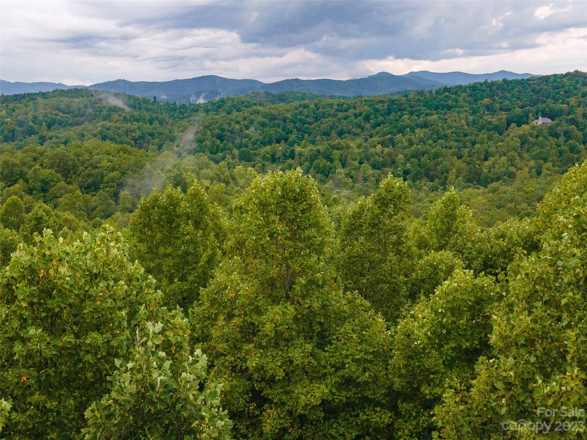 99999 Old Fort Road Old Fort, NC 28762 - Photo 6 of 16 a view of a lush green forest with lush green forest
