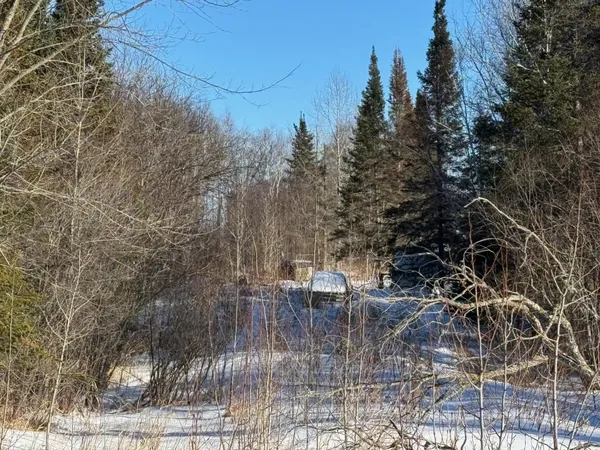 $30,000 | 28390 Hornet Road Northeast, Blackduck, MN 56630