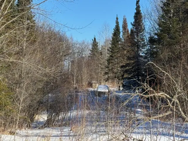 $30,000 | 28390 Hornet Road Northeast, Blackduck, MN 56630