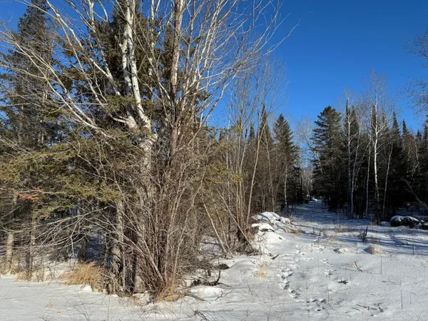 $30,000 | 28390 Hornet Road Northeast, Blackduck, MN 56630