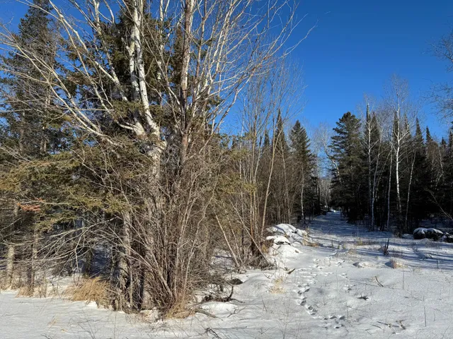 $30,000 | 28390 Hornet Road Northeast, Blackduck, MN 56630