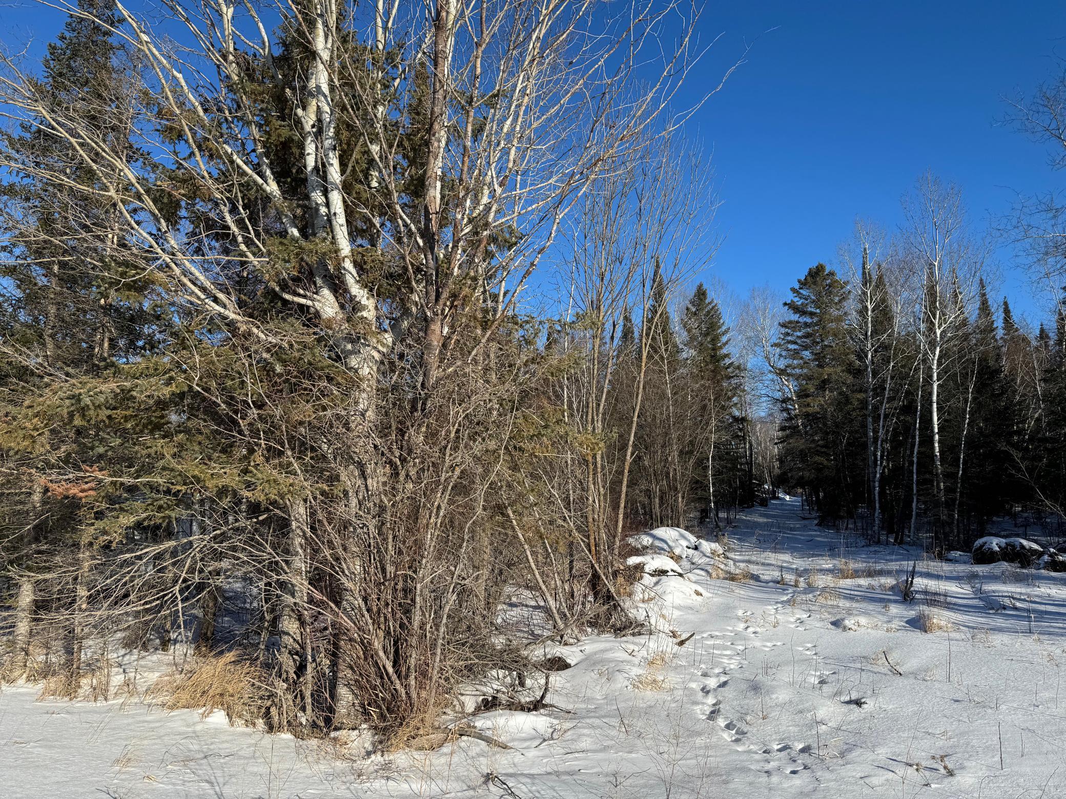 28390 Hornet Road Northeast Blackduck, MN 56630 - Photo 8 of 10