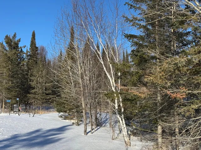 $30,000 | 28390 Hornet Road Northeast, Blackduck, MN 56630