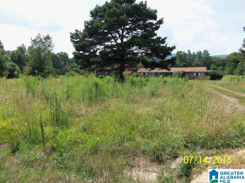 1825 Old Choccolocco Road Anniston, AL 36207 - Photo 18 of 22