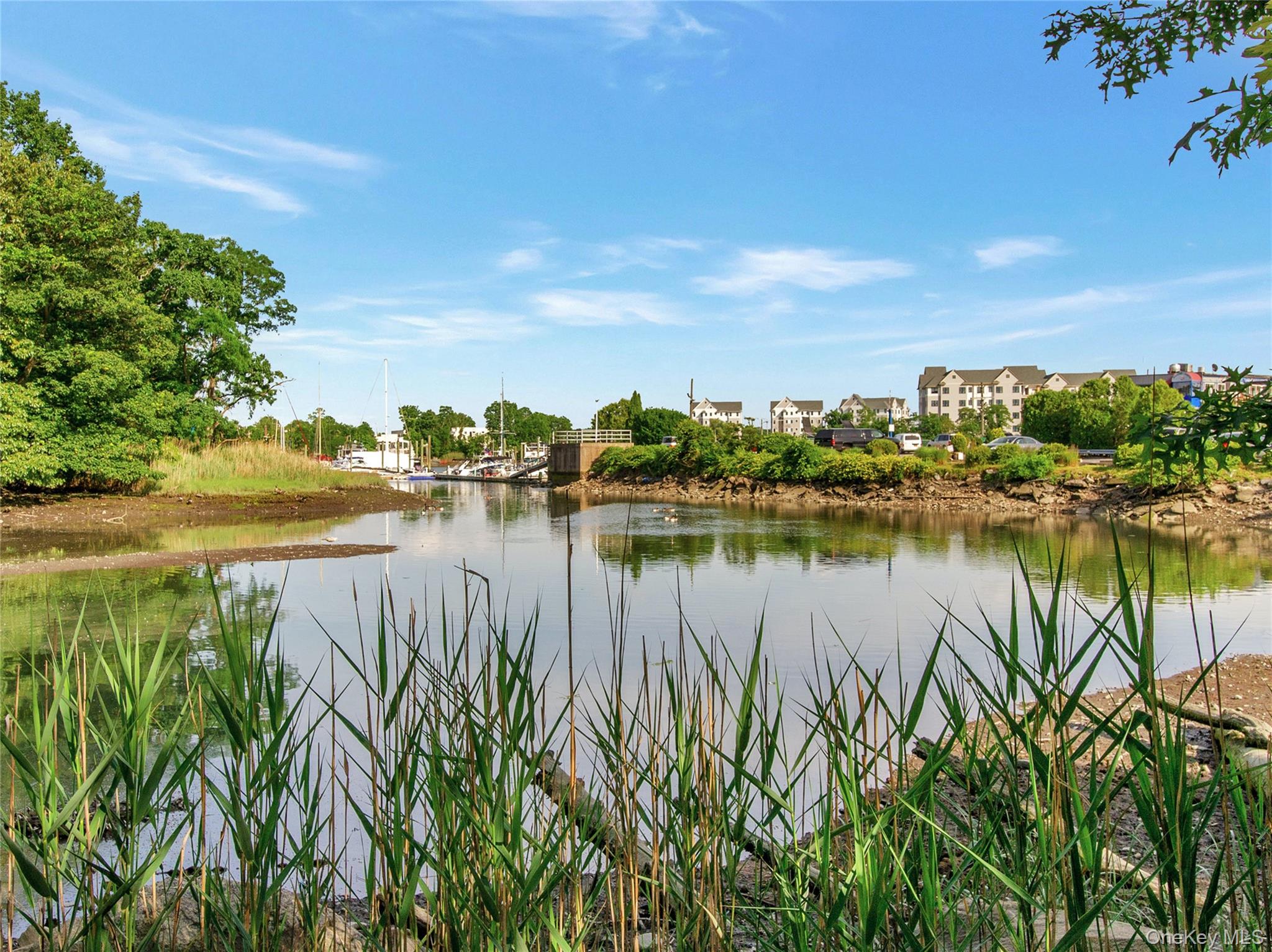 504 Pelham Road, Unit A6 New Rochelle, NY 10805 - Photo 31 of 32