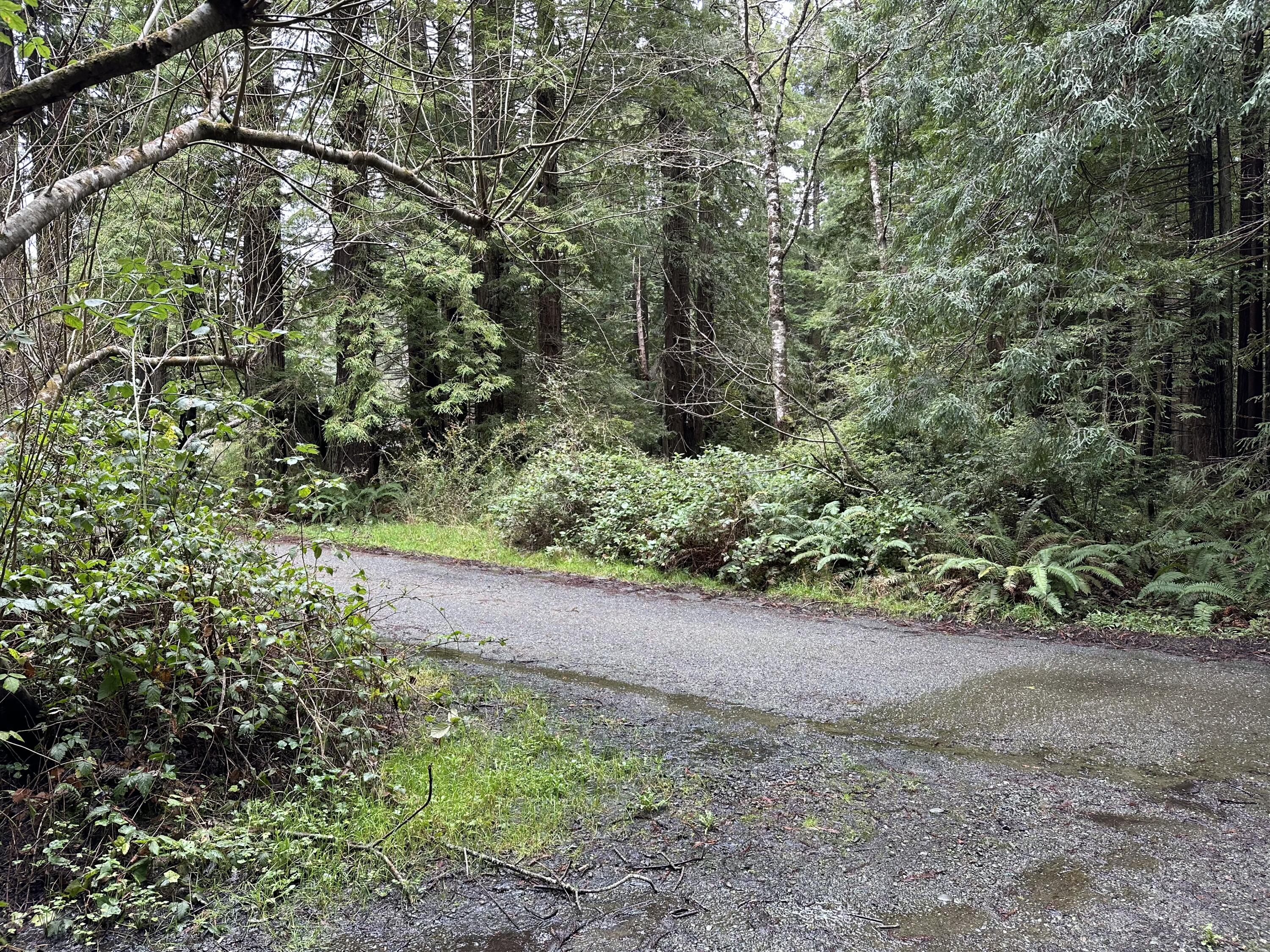 313-297 Quarry Road Trinidad, CA 95570 - Photo 42 of 46