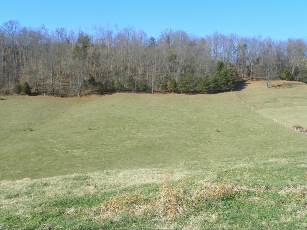Tbd Tucker Hollow Road West Fall Branch, TN 37656 - Photo 1 of 8 Photo 1