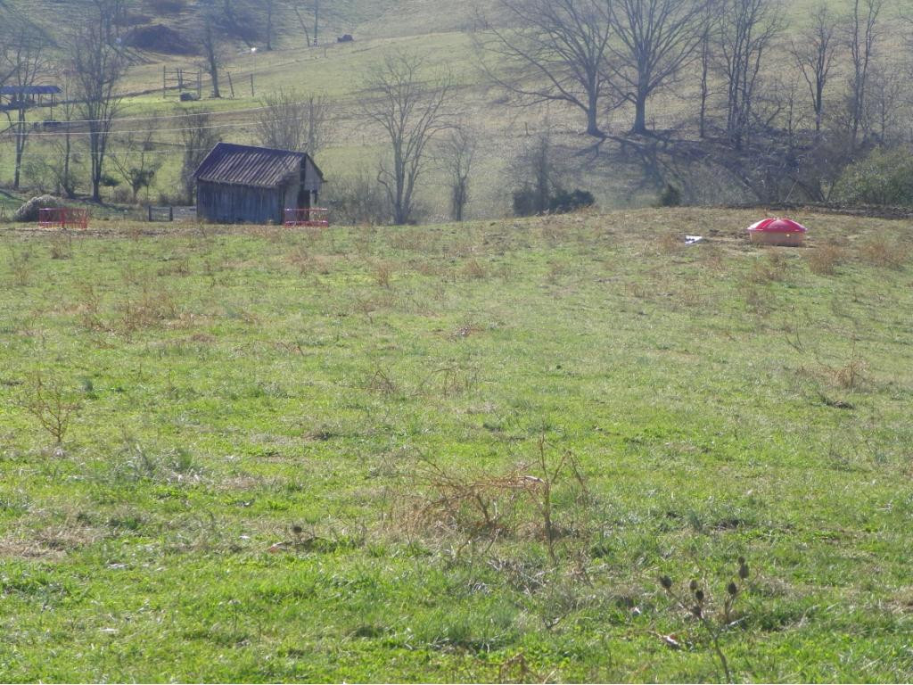 Tbd Tucker Hollow Road West Fall Branch, TN 37656 - Photo 5 of 8 Photo 5