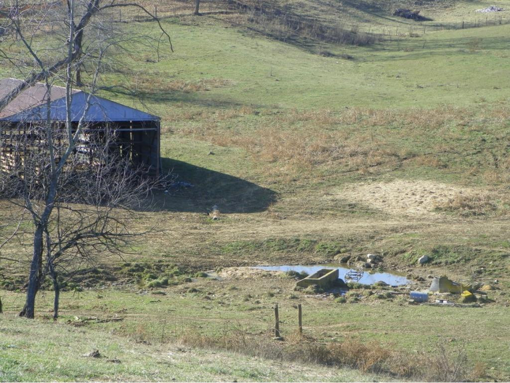 Tbd Tucker Hollow Road West Fall Branch, TN 37656 - Photo 8 of 8 Photo 8