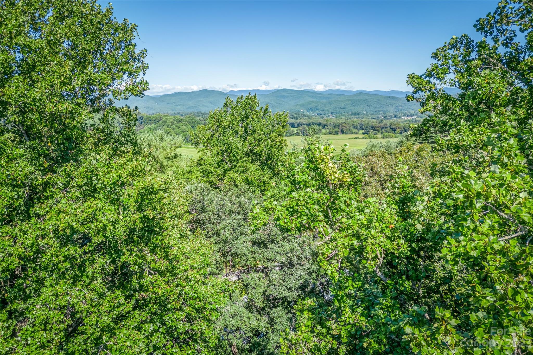 40 Cherry Ridge Road Pisgah Forest, NC 28768 - Photo 21 of 25 Gallery Image 21