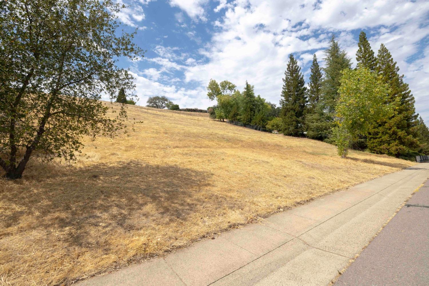 3962 Rawhide Road Rocklin, CA 95677 - Photo 4 of 22