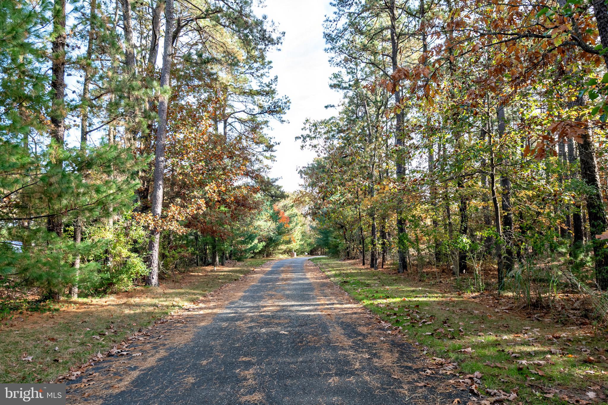 335 South Rte 73 Hammonton, NJ 08037 - Photo 6 of 81 Long driveway leading to home
