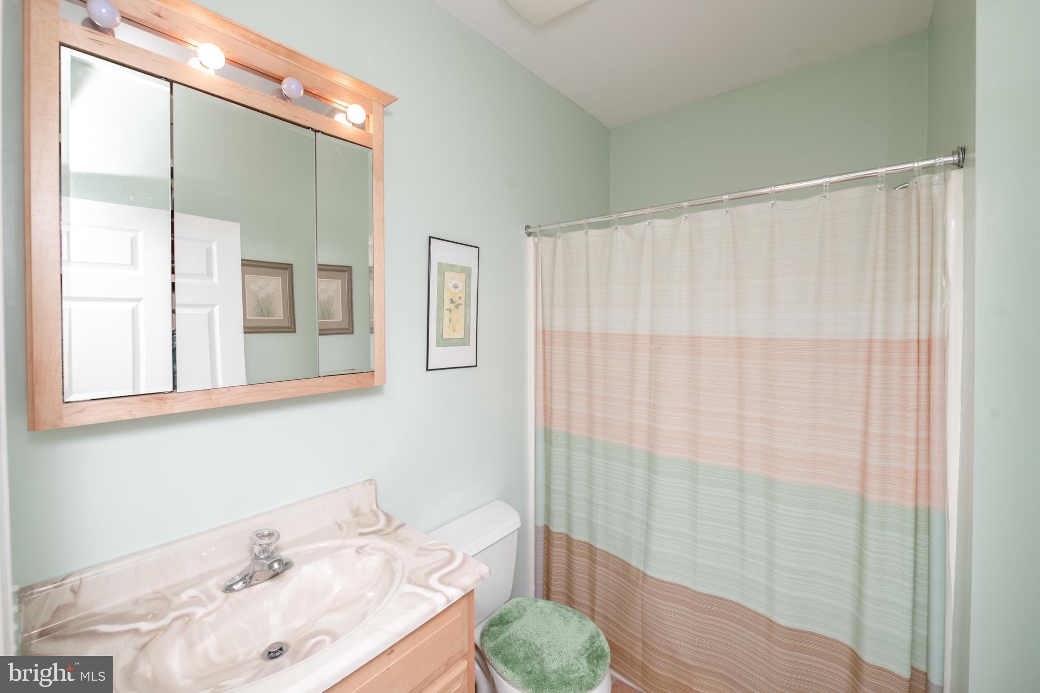 335 South Rte 73 Hammonton, NJ 08037 - Photo 54 of 81 Bathroom for BR 4