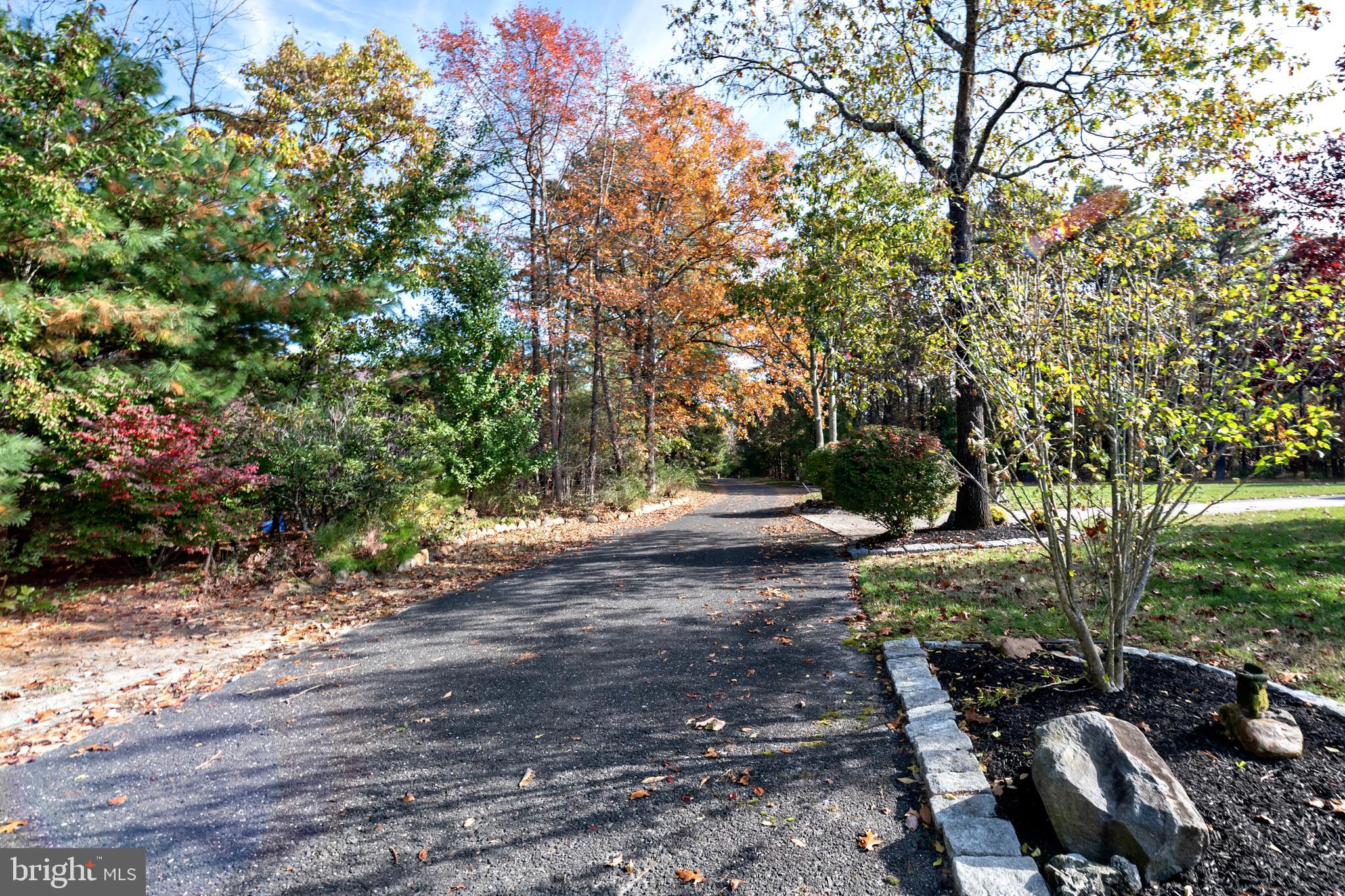 335 South Rte 73 Hammonton, NJ 08037 - Photo 80 of 81 Driveway