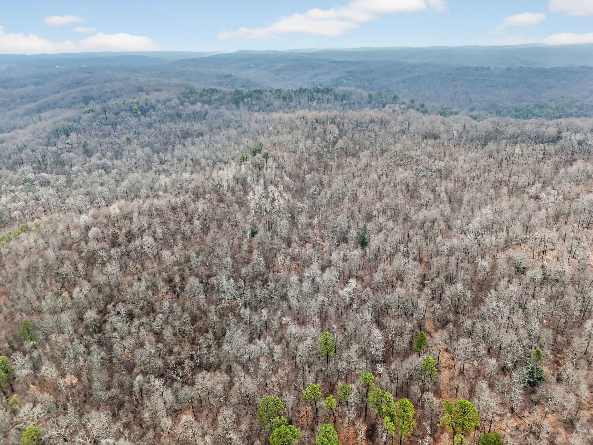 14442 Jack Run Road Rockbridge, OH 43149 - Photo 19 of 33 14440 Jack Run Land (Drone)-7