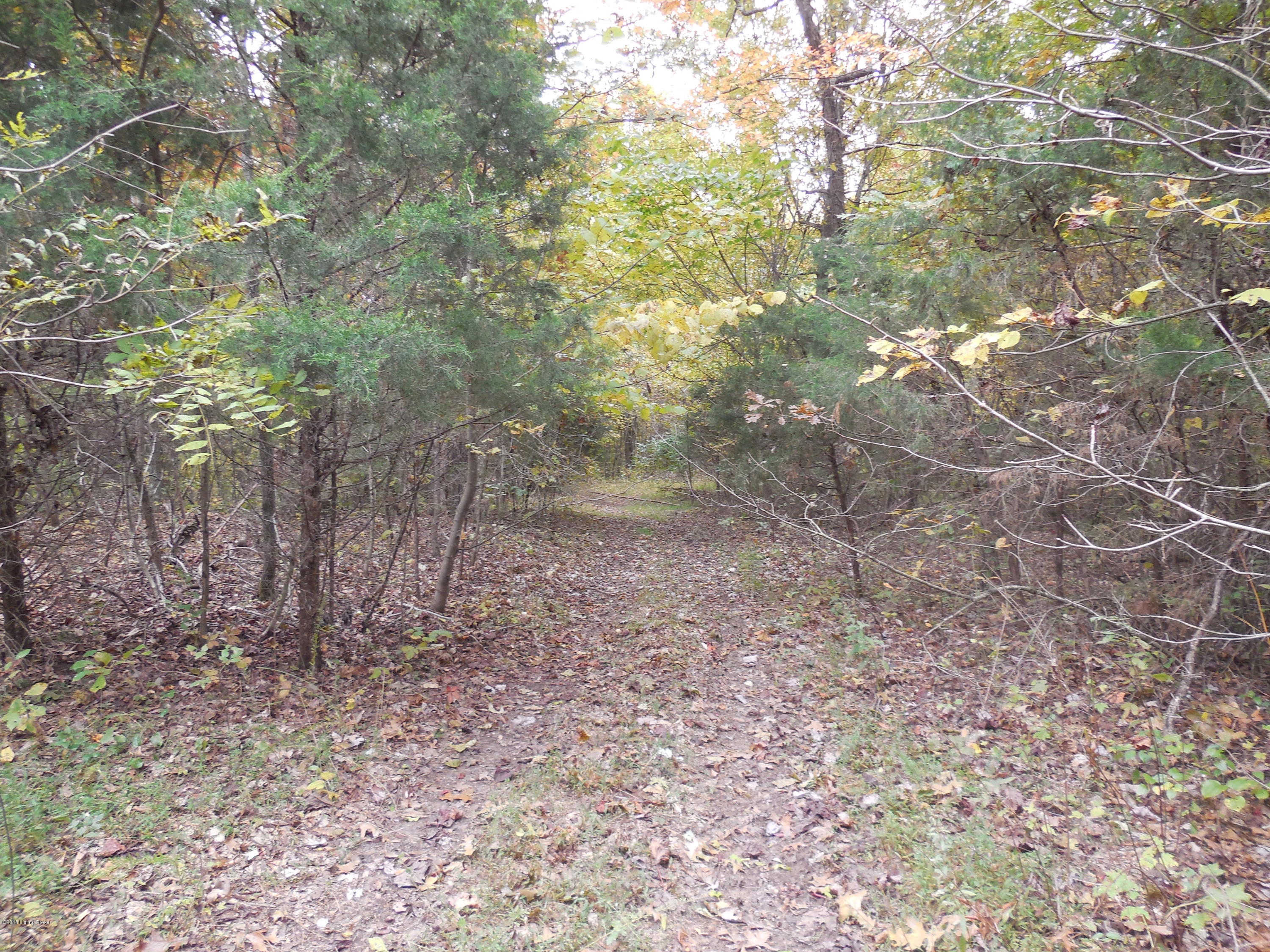0 Corinth Road Buffalo, KY 42716 - Photo 7 of 30 DSCN1767