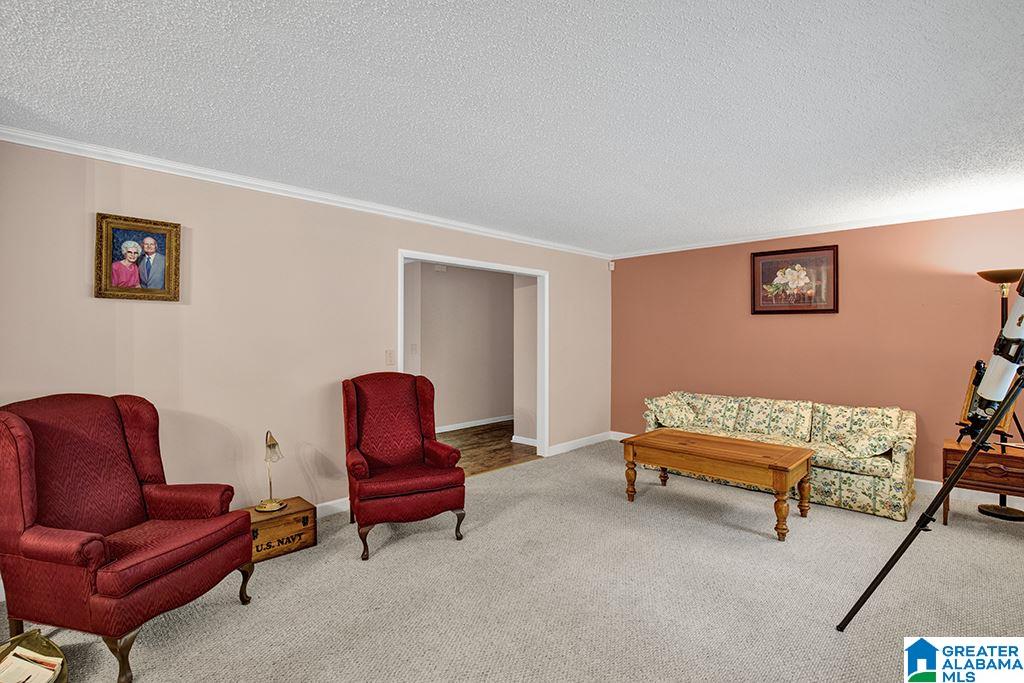 300 Greensport Road Ashville, AL 35953 - Photo 2 of 20