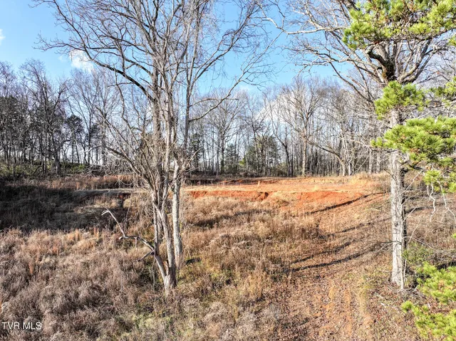 $795,000 | 1739 Redwing Lane, New Market, TN 37820