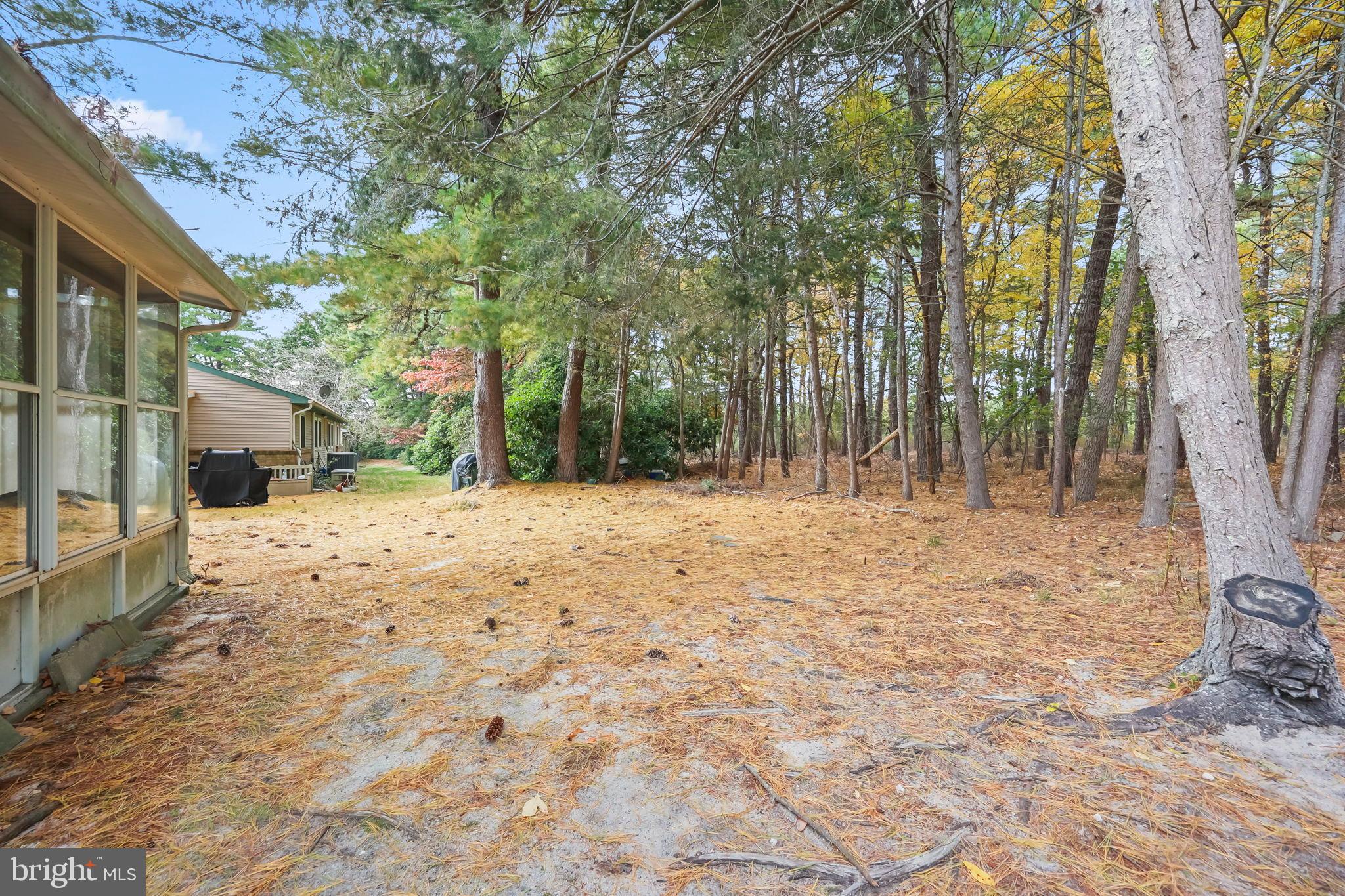 153B Sunset Road Whiting, NJ 08759 - Photo 17 of 19 a view of garage yard and tree