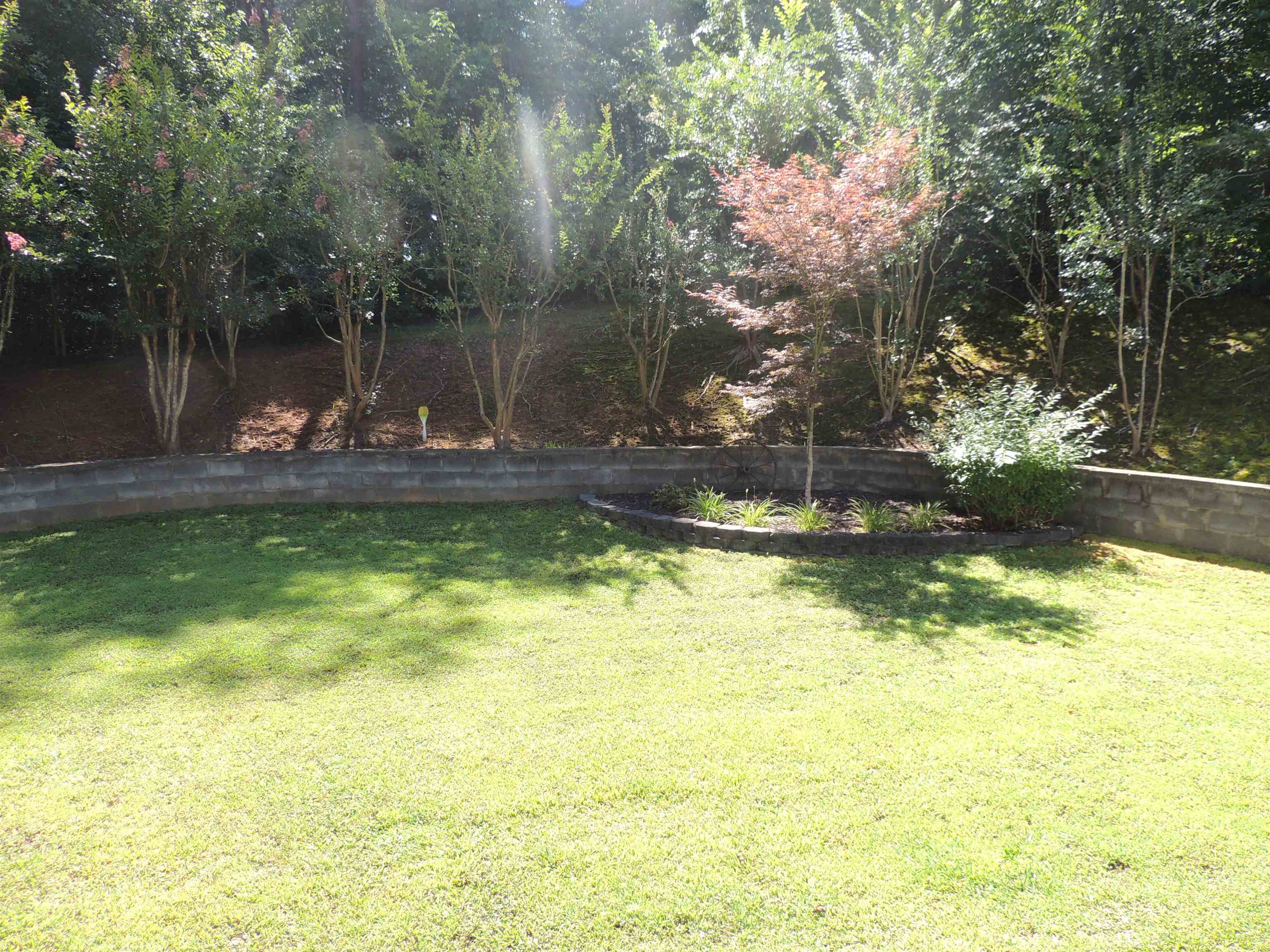 214 Fraley Drive Inman, SC 29349 - Photo 6 of 22