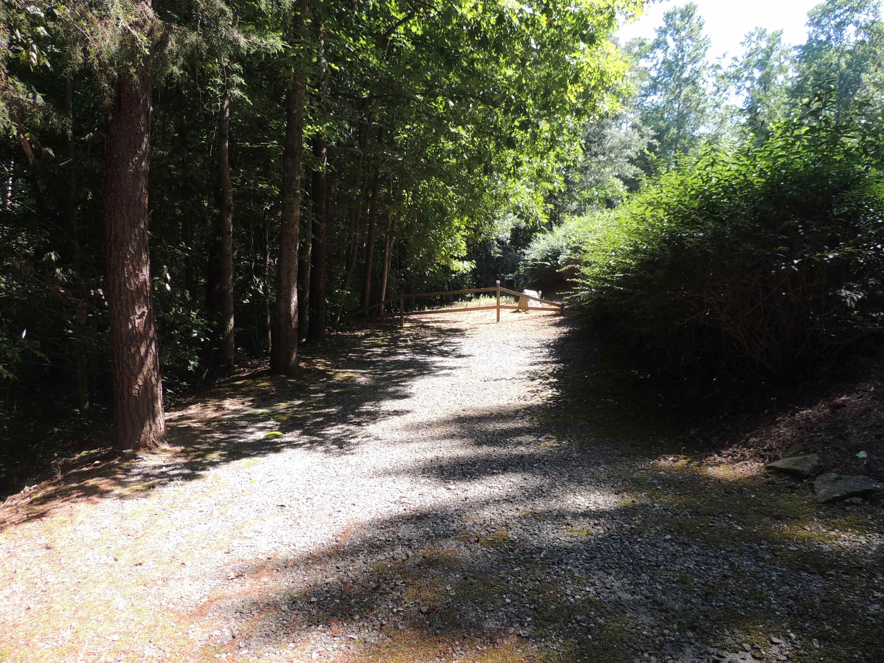 214 Fraley Drive Inman, SC 29349 - Photo 8 of 22