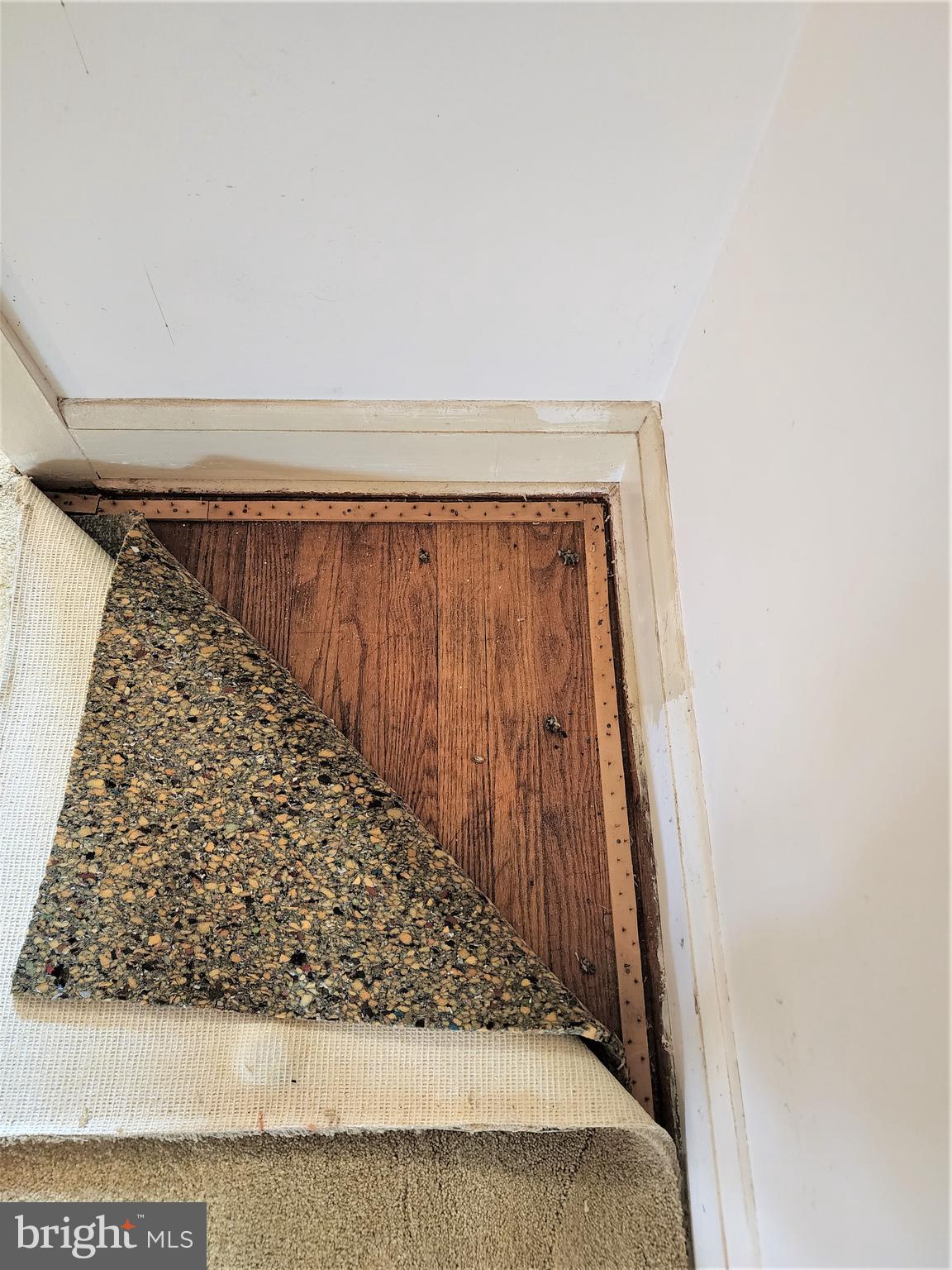 3109 Troyer Road White Hall, MD 21161 - Photo 9 of 34 Original hardwood floors under carpet